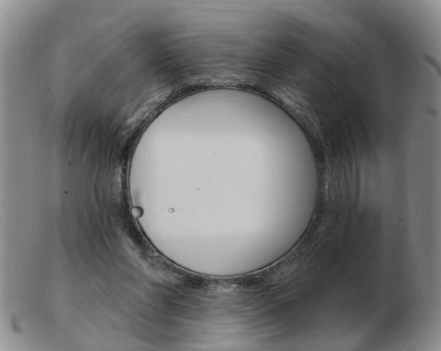 X0000103930206200809191132