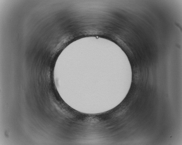 X0000103930207200809191132