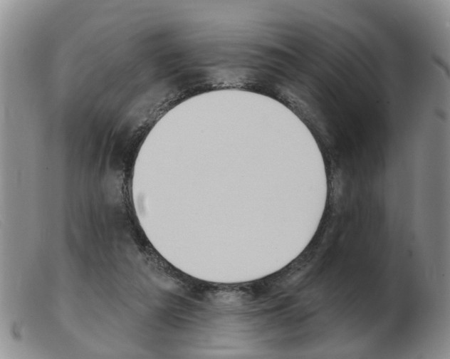 X0000103930209200809191132