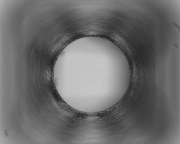 X0000103930210200809191132