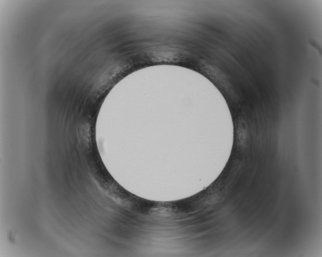 X0000103930211200809191132