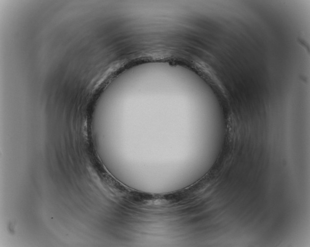 X0000103930212200809191132