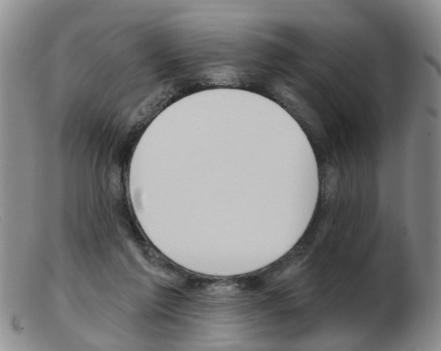 X0000103930213200809191132
