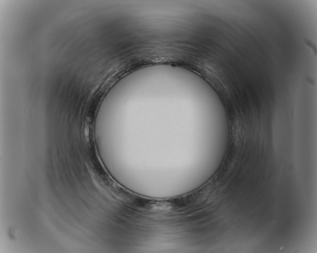 X0000103930214200809191132