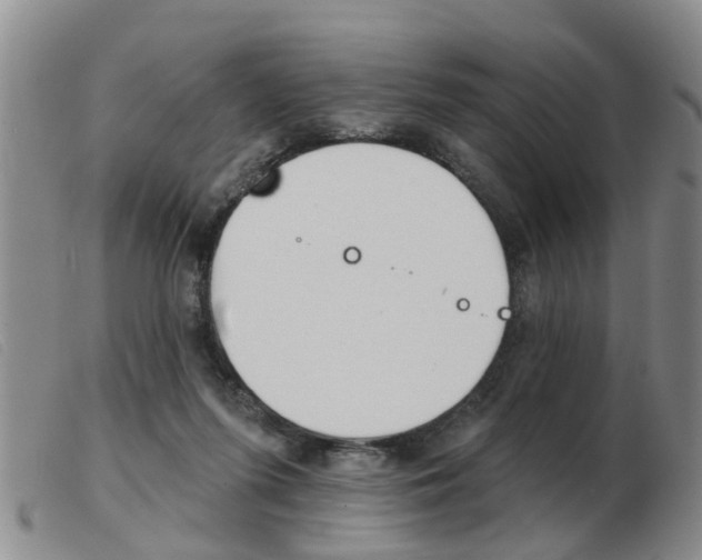 X0000103930215200809191132