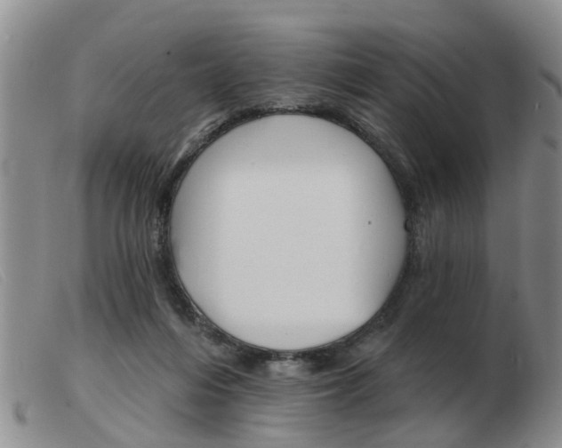 X0000103930216200809191132