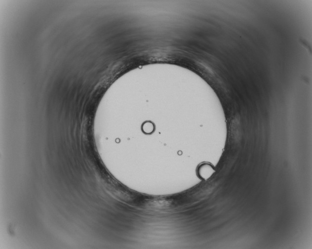 X0000103930217200809191132