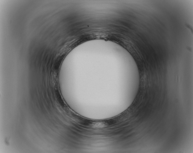 X0000103930218200809191132