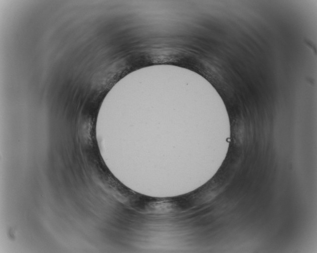 X0000103930219200809191132
