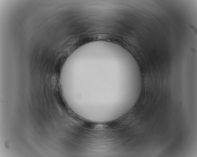 X0000103930222200809191132