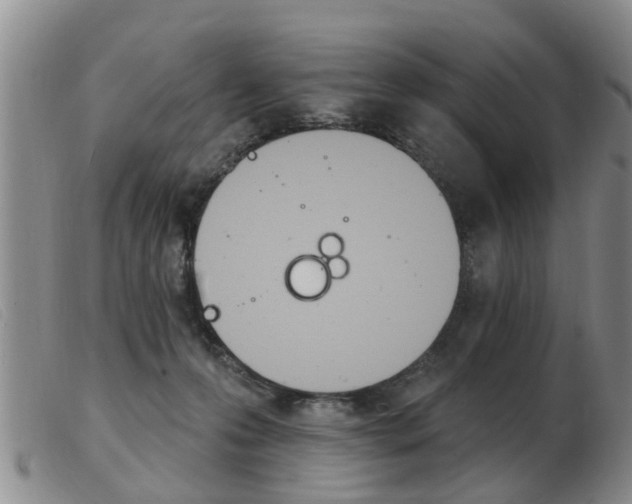 X0000103930223200809191132