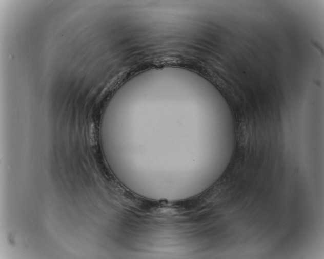 X0000103930224200809191132