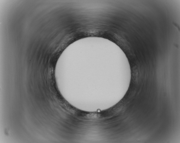 X0000103930225200809191132