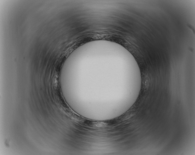 X0000103930226200809191132