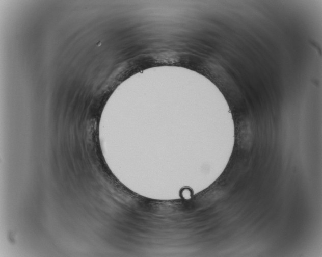 X0000103930229200809191132
