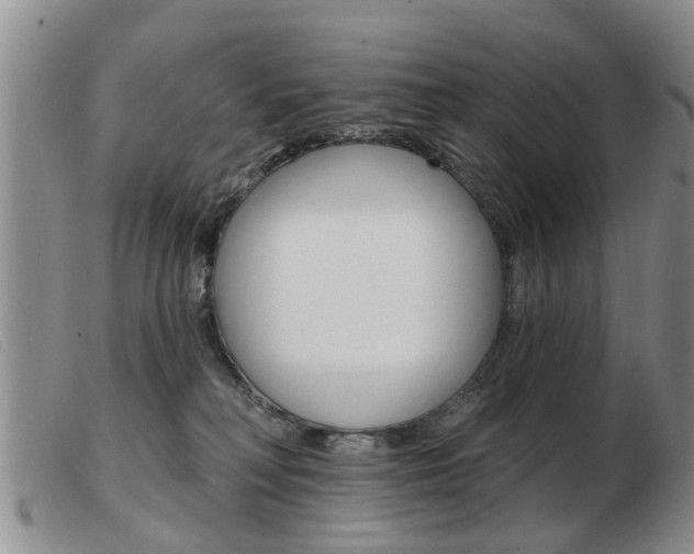 X0000103930230200809191132