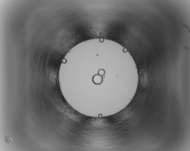 X0000103930235200809191131