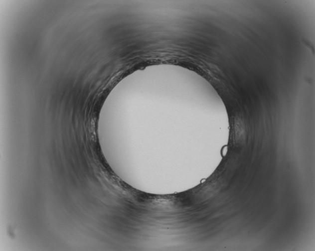 X0000103930236200809191131