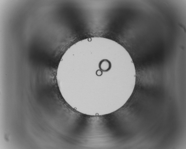 X0000103930237200809191131