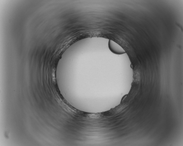 X0000103930238200809191131