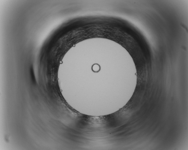 X0000103930239200809191131