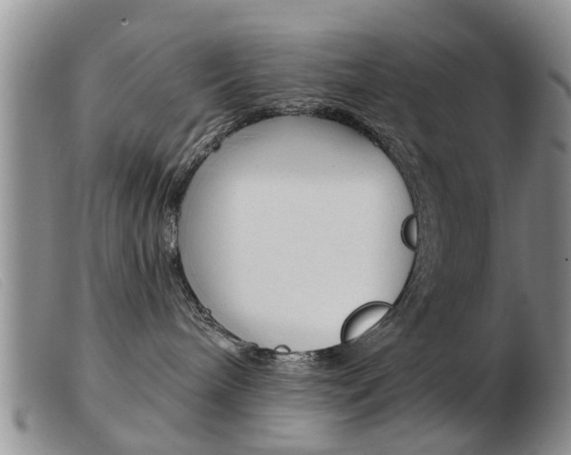 X0000103930240200809191131