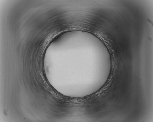 X0000103930241200809191131