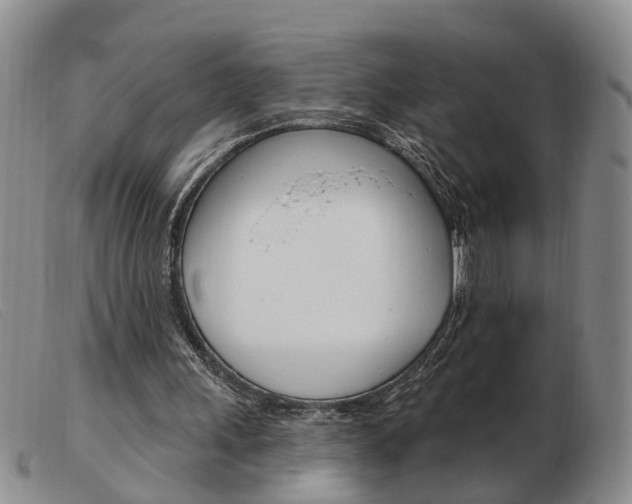 X0000103930243200809191131
