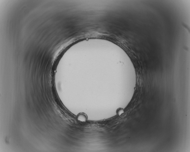 X0000103930244200809191131