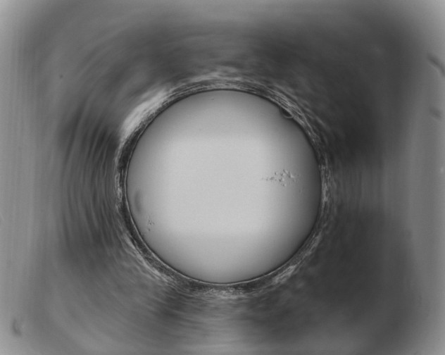 X0000103930245200809191131