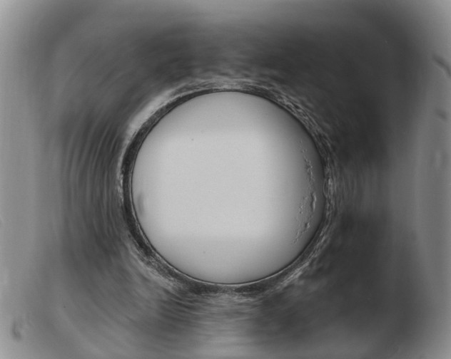 X0000103930246200809191131