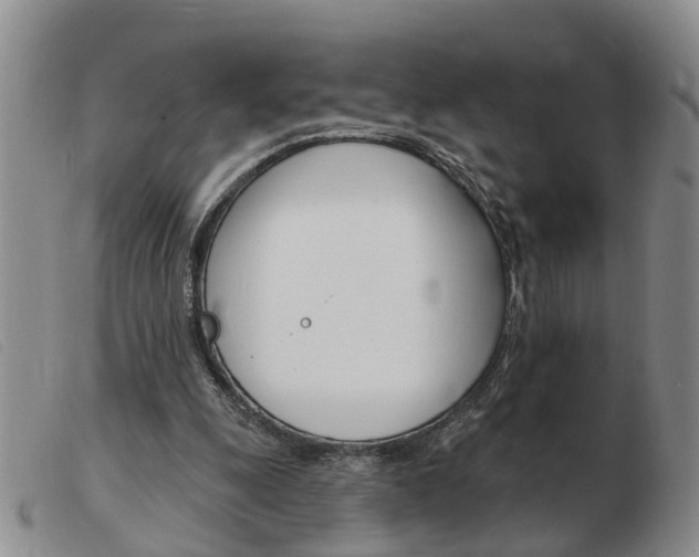 X0000103930247200809191131