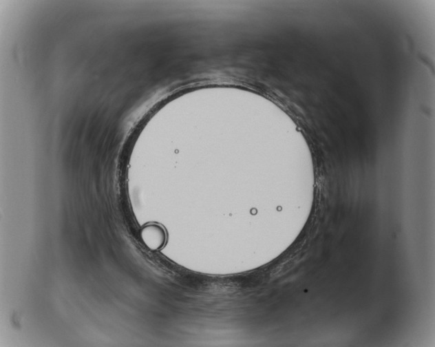 X0000103930248200809191131