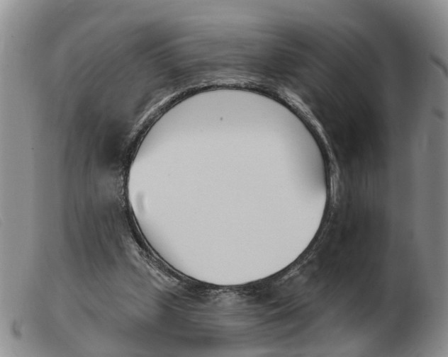 X0000103930249200809191131