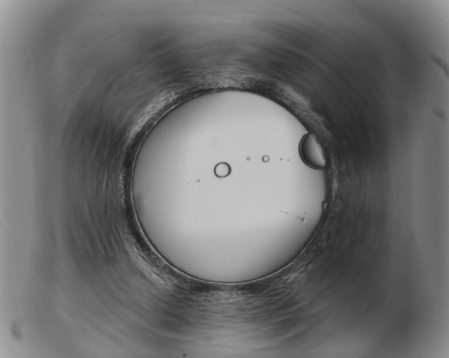 X0000103930250200809191131
