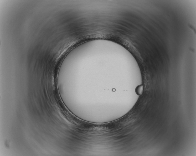 X0000103930251200809191131