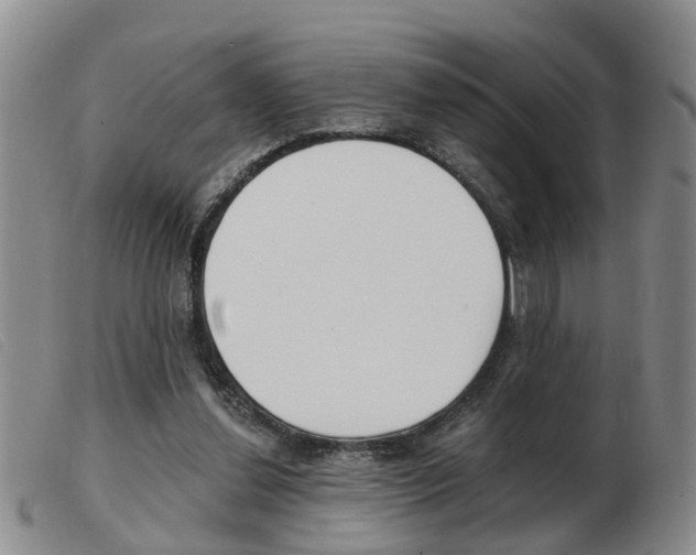 X0000103930252200809191131