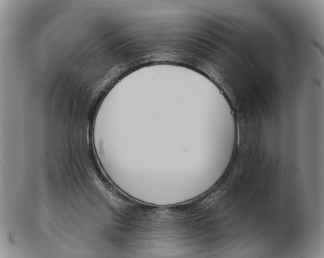 X0000103930253200809191131