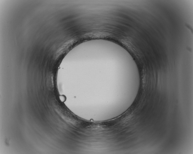 X0000103930254200809191131