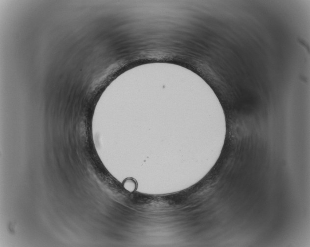 X0000103930256200809191131