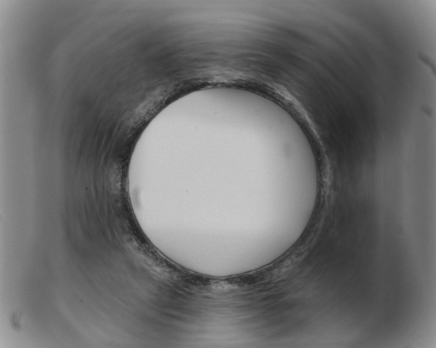 X0000103930257200809191131