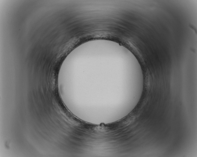 X0000103930261200809191131