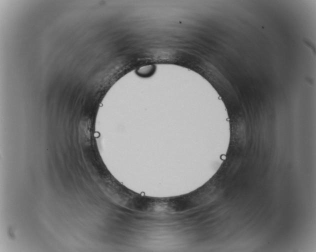 X0000103930264200809191131