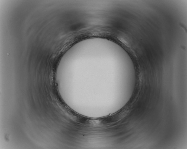 X0000103930265200809191131