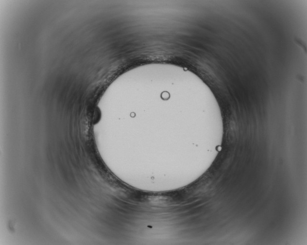 X0000103930268200809191131