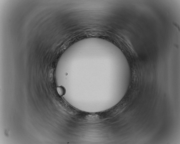 X0000103930271200809191131