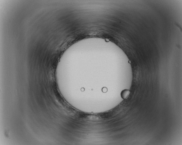 X0000103930272200809191131