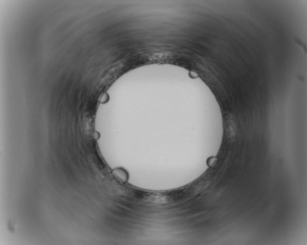 X0000103930276200809191131