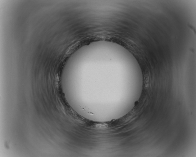 X0000103930279200809191131