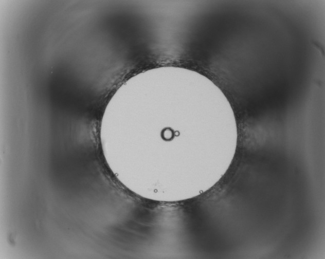 X0000103930280200809191131